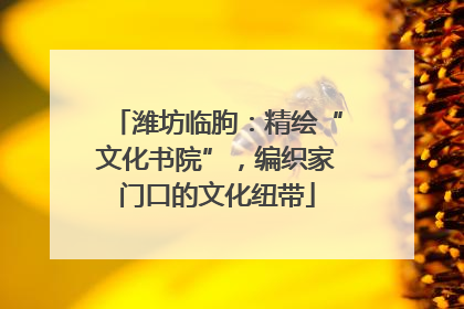 潍坊临朐：精绘“文化书院”，编织家门口的文化纽带