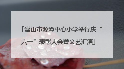 潜山市源潭中心小学举行庆“六一”表彰大会暨文艺汇演