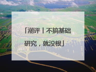 潮评丨不搞基础研究，就没根
