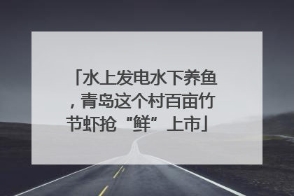 水上发电水下养鱼，青岛这个村百亩竹节虾抢“鲜”上市