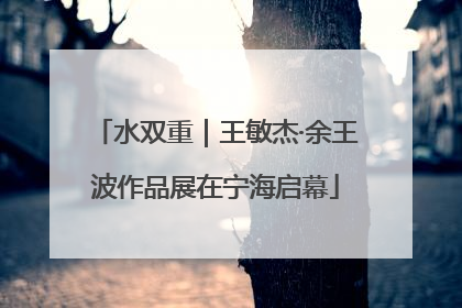 水双重｜王敏杰·余王波作品展在宁海启幕