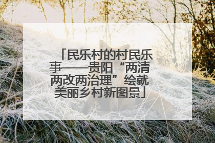 民乐村的村民乐事——贵阳“两清两改两治理”绘就美丽乡村新图景