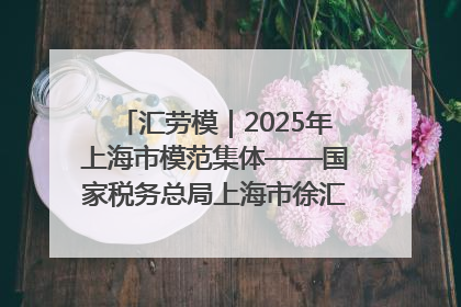 汇劳模｜2025年上海市模范集体——国家税务总局上海市徐汇区税务局第一税务所