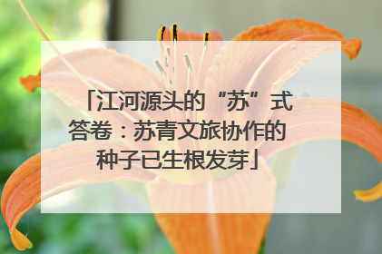 江河源头的“苏”式答卷：苏青文旅协作的种子已生根发芽
