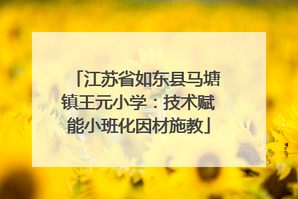 江苏省如东县马塘镇王元小学：技术赋能小班化因材施教