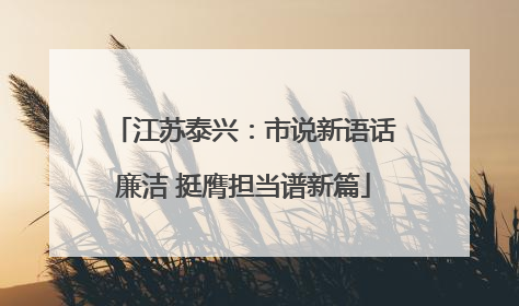 江苏泰兴：市说新语话廉洁 挺膺担当谱新篇