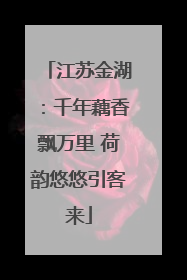 江苏金湖：千年藕香飘万里 荷韵悠悠引客来