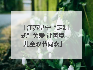 江苏阜宁“定制式”关爱 让困境儿童双节同欢