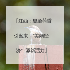 江西：夏至荷香引客来 “美丽经济”添新活力
