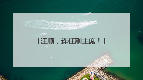 汪顺，连任副主席！