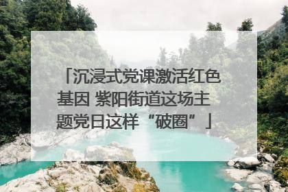 沉浸式党课激活红色基因 紫阳街道这场主题党日这样“破圈”