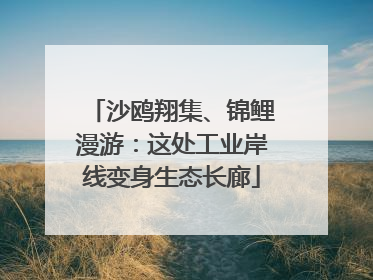 沙鸥翔集、锦鲤漫游：这处工业岸线变身生态长廊