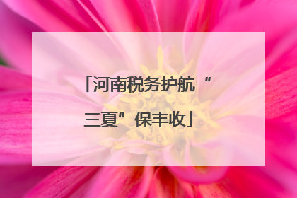 河南税务护航“三夏”保丰收