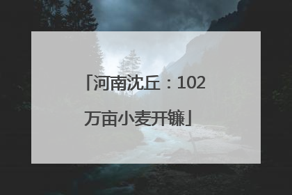 河南沈丘：102 万亩小麦开镰