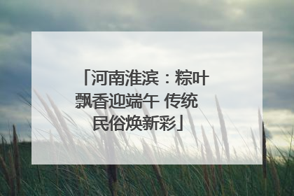 河南淮滨：粽叶飘香迎端午 传统民俗焕新彩