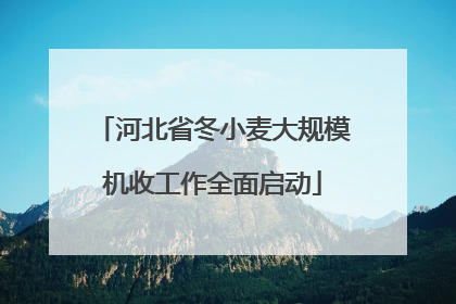 河北省冬小麦大规模机收工作全面启动
