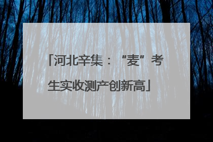 河北辛集：“麦”考生实收测产创新高