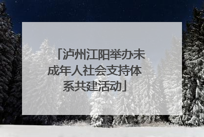 泸州江阳举办未成年人社会支持体系共建活动