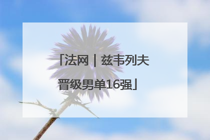法网｜兹韦列夫晋级男单16强