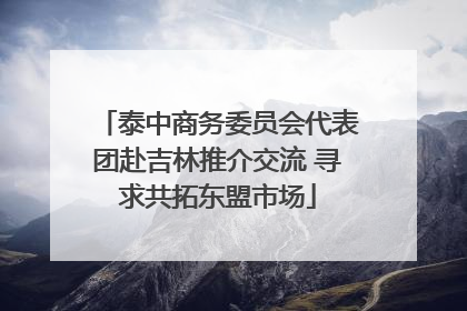 泰中商务委员会代表团赴吉林推介交流 寻求共拓东盟市场