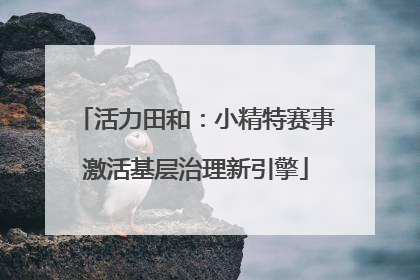 活力田和：小精特赛事激活基层治理新引擎