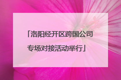 洛阳经开区跨国公司专场对接活动举行