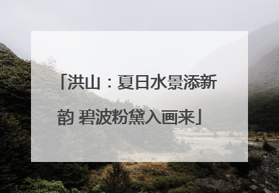 洪山：夏日水景添新韵 碧波粉黛入画来