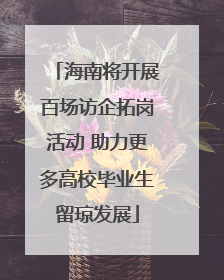 海南将开展百场访企拓岗活动 助力更多高校毕业生留琼发展