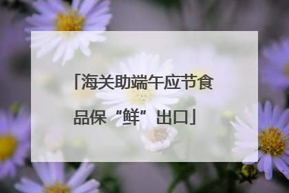 海关助端午应节食品保“鲜”出口
