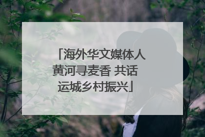 海外华文媒体人黄河寻麦香 共话运城乡村振兴