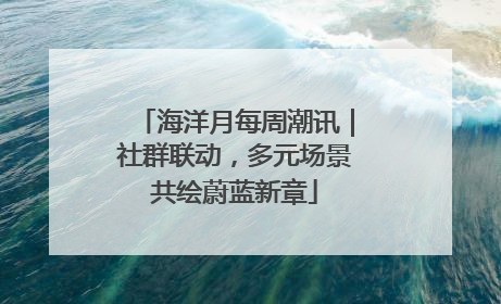 海洋月每周潮讯｜社群联动，多元场景共绘蔚蓝新章