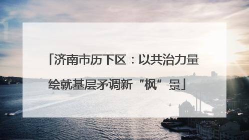 济南市历下区：以共治力量绘就基层矛调新“枫”景