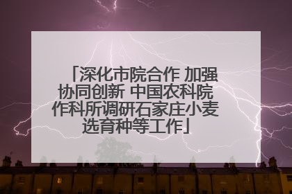 深化市院合作 加强协同创新 中国农科院作科所调研石家庄小麦选育种等工作