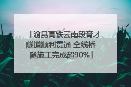 渝昆高铁云南段育才隧道顺利贯通 全线桥隧施工完成超90%