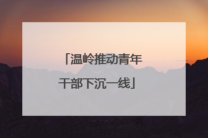 温岭推动青年干部下沉一线