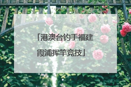 港澳台钓手福建霞浦挥竿竞技