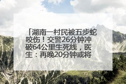 湖南一村民被五步蛇咬伤！交警26分钟冲破64公里生死线，医生：再晚20分钟或将呼吸肌麻痹