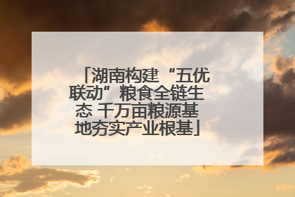 湖南构建“五优联动”粮食全链生态 千万亩粮源基地夯实产业根基