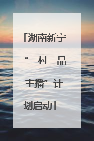 湖南新宁“一村一品一主播”计划启动