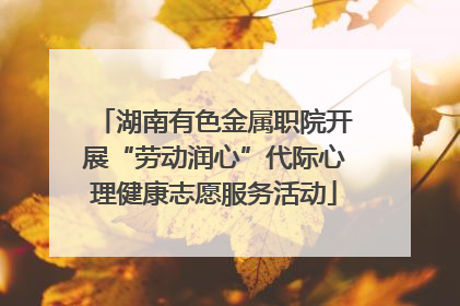 湖南有色金属职院开展“劳动润心”代际心理健康志愿服务活动