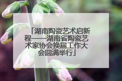 湖南陶瓷艺术启新程——湖南省陶瓷艺术家协会换届工作大会圆满举行