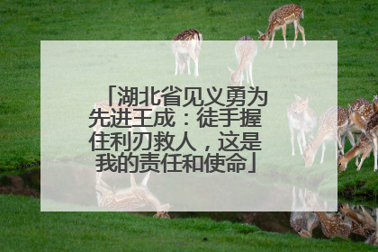 湖北省见义勇为先进王成：徒手握住利刃救人，这是我的责任和使命