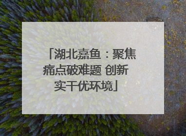 湖北嘉鱼：聚焦痛点破难题 创新实干优环境