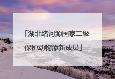 湖北堵河源国家二级保护动物添新成员