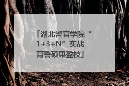 湖北警官学院“1+3+N”实战育警硕果盈枝
