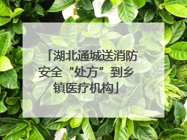 湖北通城送消防安全“处方”到乡镇医疗机构
