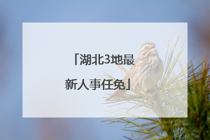 湖北3地最新人事任免