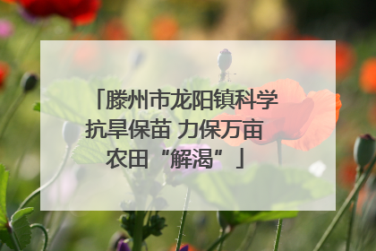 滕州市龙阳镇科学抗旱保苗 力保万亩农田“解渴”