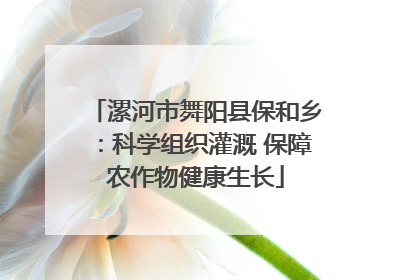 漯河市舞阳县保和乡：科学组织灌溉 保障农作物健康生长