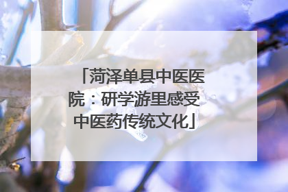 菏泽单县中医医院：研学游里感受中医药传统文化